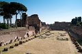 0493Foro Palatino